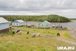 Жители Шурышкарского района ЯНАО уверены, что власти хотят ликвидировать деревню, в которой живут КМНС