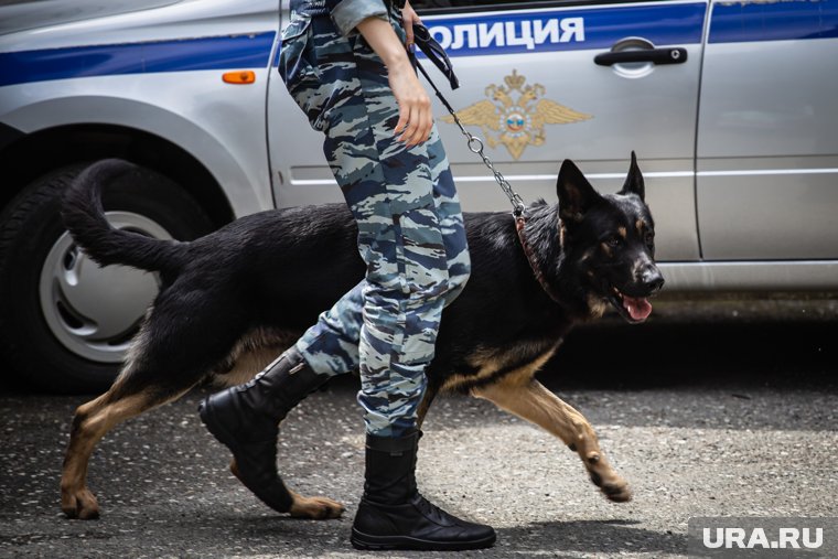 В Нижневартовске эвакуирован торговый центр из-за угрозы минирования, на месте работают спецслужбы