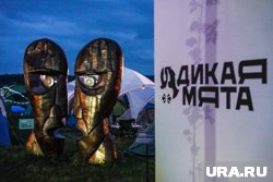 Фестиваль «Дикая Мята» проходит в Тульской области