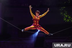В цирковом шоу поучаствуют воздушные гимнасты