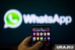 В WhatsApp* появится возможность продвигать каналы