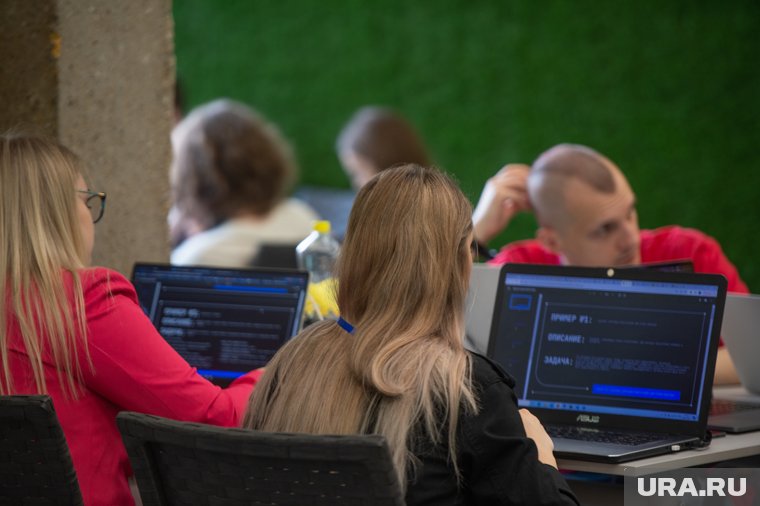 VK Education подготовил для будущих IT-специалистов бесплатные курсы