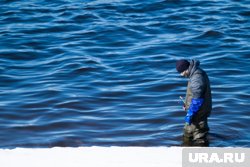 Что плавает в воде, рыбаки поняли не сразу (архивное фото)