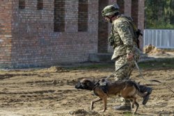 На Украину будет отправлена техника для разминирования