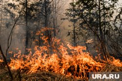 Всего в Забайкалье отправили 50 огнеборцев с Урала