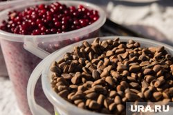 Сибирская клюква при заморозке или сушке почти полностью сохраняет полезные вещества