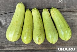 Один из вариантов ответа на насущный вопрос «Куда девать все эти кабачки?!»
