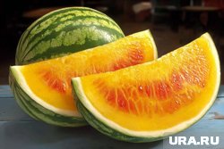 В ХМАО продают необычные сорта арбузов
