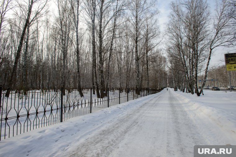 Крупнейший парк Тюмени раскинулся на обеих сторонах улицы Дружбы