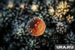 К среде ночные температуры вернутся к нулевым отметкам