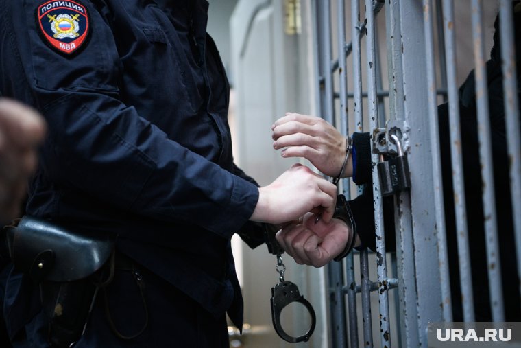 Главу ОПГ и его подельников отправили в СИЗО на два месяца