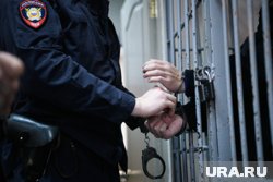 Главу ОПГ и его подельников отправили в СИЗО на два месяца