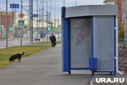 В Курганской области сокращается рынок пассажирских перевозок