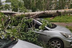 Поваленные деревья падали на линии ЛЭП и стоящие автомобили