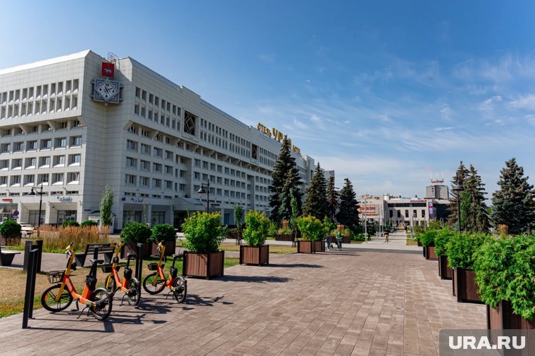 Зелень пропадает с пермских улиц