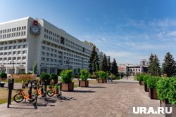Зелень пропадает с пермских улиц