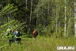 Женщина ушла в лес с белым ведром