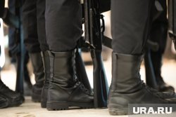 Воронежские власти назвали фейком слухи об отправке ветеринаров в СВО