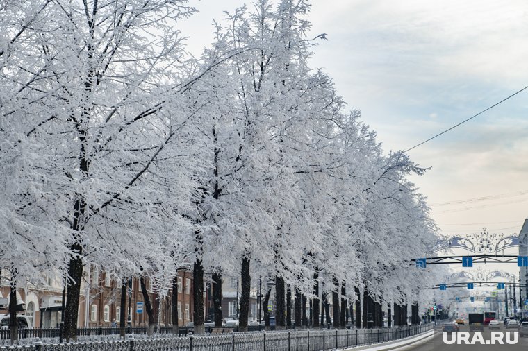 В Перми температура воздуха не упадет ниже -25 градусов