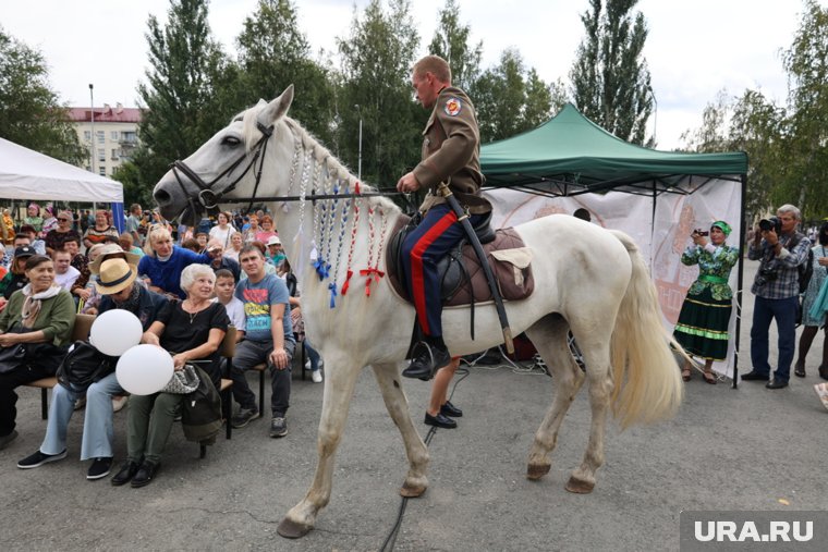 Казаки достигли цели в конном походе