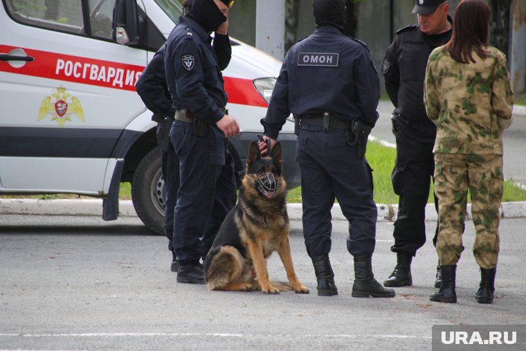 В рейде участвовала Росгвардия 