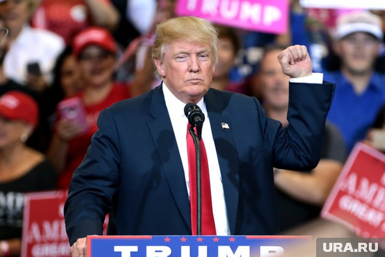 Трамп сообщил, что Сакс также займется поддержанием свободы слова в Интернете