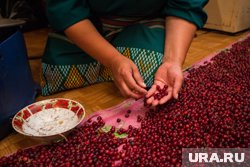 Купить замороженную клюкву в ХМАО сейчас можно по 200 рублей за литр 