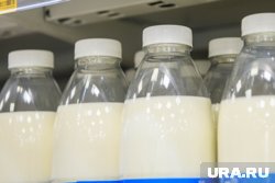 Курганские власти посетили молочные фермы Казахстана