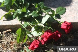 На старом кладбище хоронили горожан еще до революции
