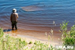 Рыбу-монстра с трудом вытащили на берег