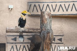 Открытия нового зоопарка пермяки ждали много лет