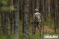 В лесу Советского района ХМАО пропал пенсионер