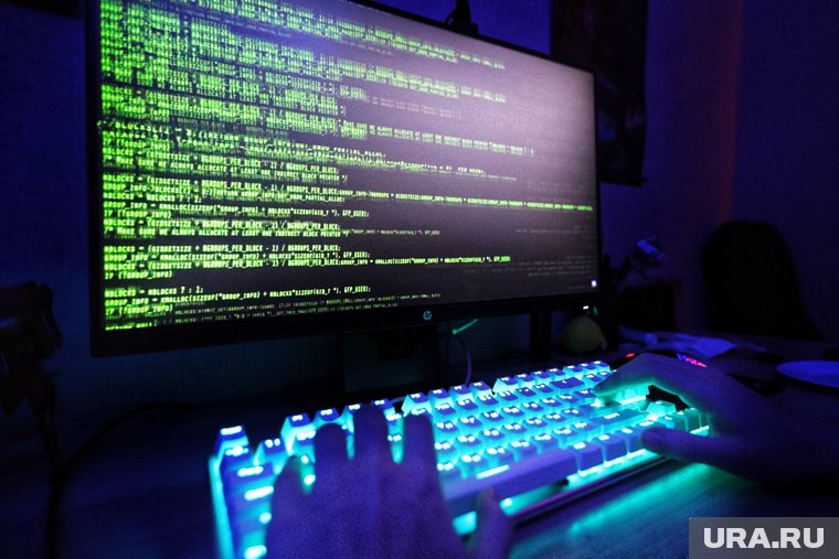 В курганском колледже на специальность с ИИ выделили 25 бюджетных мест
