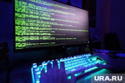 В курганском колледже на специальность с ИИ выделили 25 бюджетных мест