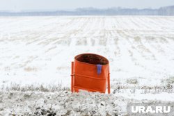 Бесхозные земли теперь можно изымать без суда