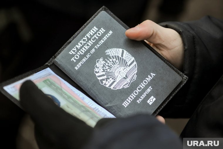 В России трудятся более миллиона граждан Таджикистана