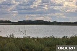 Аукцион планируется провести в первом квартале 2026 года 