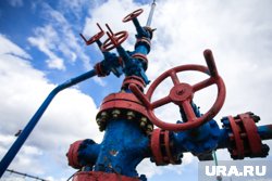 Поставки российской нефти в Словакию возобновились