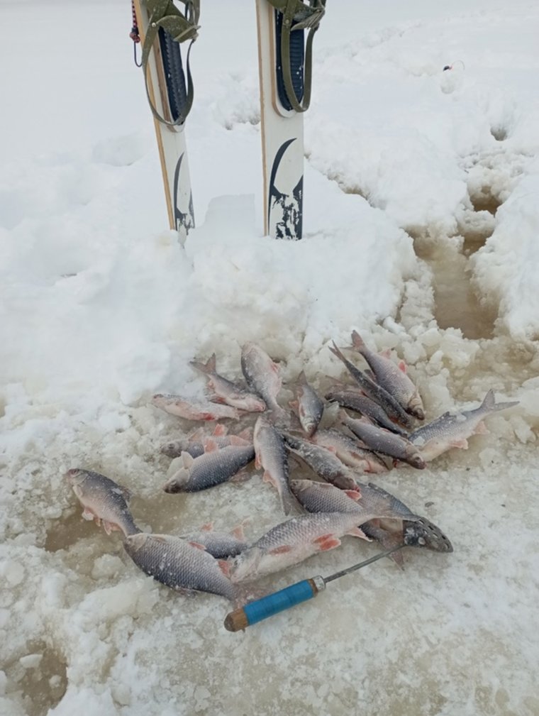 Вода под снегом на реке в ЯНАО