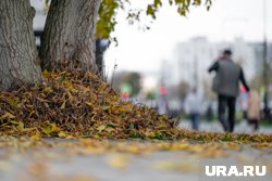 Изменения коснутся многих жителей Пермского края