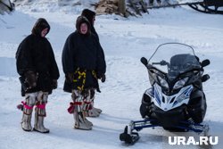 В Тазовском районе ЯНАО ищут оленевода, провалившегося под лед (архивное фото)