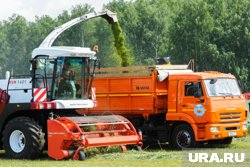 Власти постараются покрыть больше агропредприятий страховкой, считает эксперт