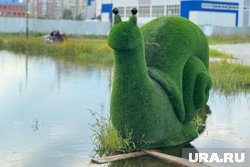 В Заозерном вандалы ломают топиарные фигуры
