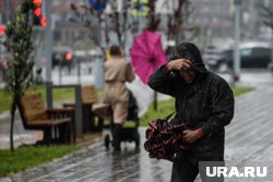 Дождливая погода будет сопровождаться порывистым ветром