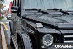 В Кургане выставили на продажу элитное авто