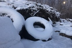 Курганские власти заставили обезопасить заброшенный скотомогильник (архивное фото)