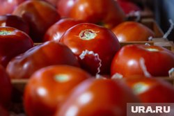 Всю продукцию уничтожили