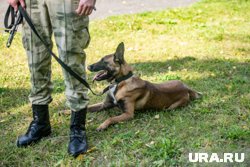Женщина ушла из стойбища в районе Кирюхиной горы
