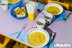 Родители просят добавить мясо и фрукты в меню детсада села Менщиково