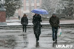 2 октября в Тюмени выпадет мокрый снег 